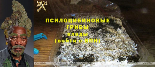 a pvp Алзамай