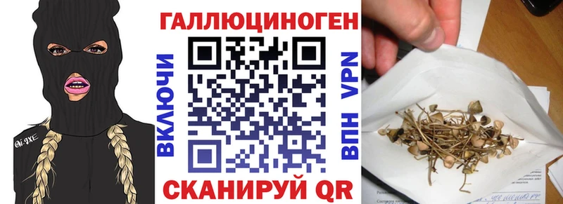 blacksprut ссылки  Шиханы  Галлюциногенные грибы Cubensis  где купить  