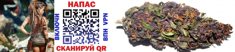 Бошки марихуана SATIVA & INDICA  мега ССЫЛКА  Шиханы 